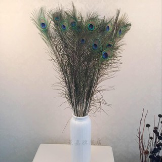 Lông công 80- 90cm | chiếc