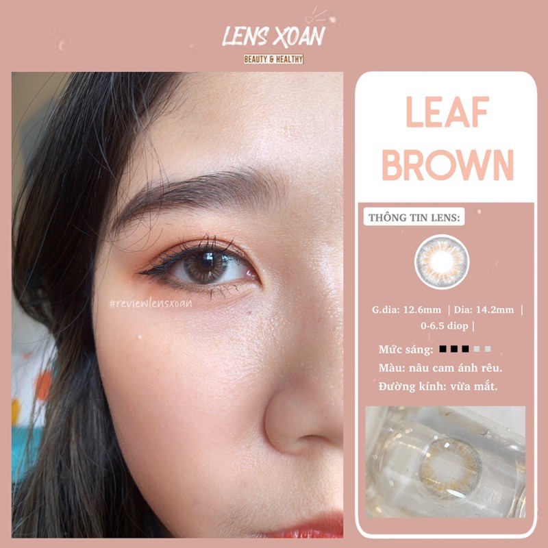 KÍNH ÁP TRÒNG LEAF BROWN: LENS NÂU RÊU ÁNH VÀNG TRONG NHẸ| B.S.COR| LENS XOẮN