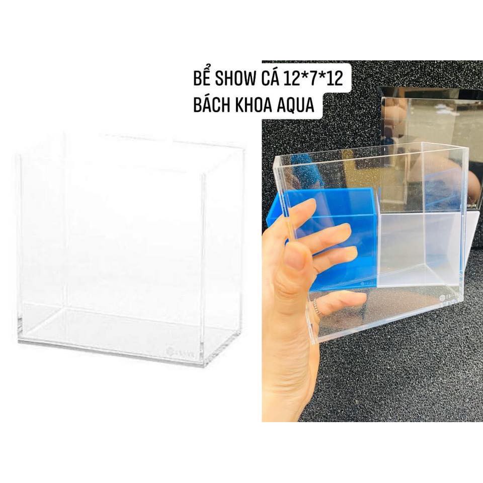 Bể Show cá chất liệu Acrylic size mini