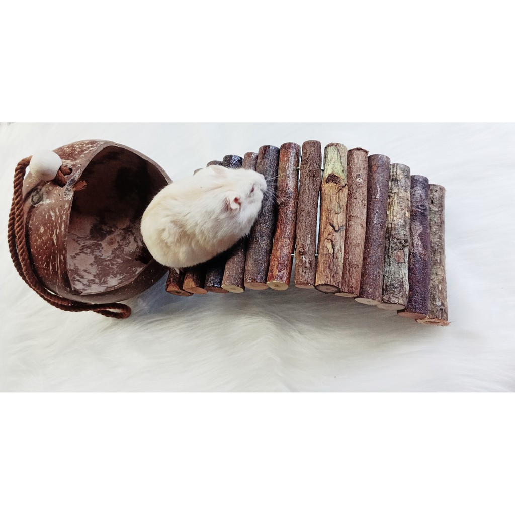 Nhà ngủ gáo dừa 3in1