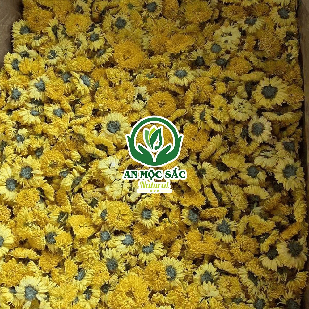 ✅[THƯỢNG HẠNG] Trà Hoa Cúc Vàng Sấy Khô Nguyên Bông Tự Nhiên An Mộc Sắc Ngủ Ngon An Thần Đẹp Da Lợi Tiểu
