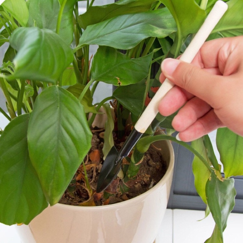 Dụng cụ làm vườn mini