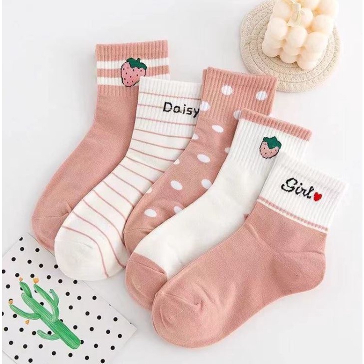 Set 5 Đôi Tất Vớ Nữ Cao Cổ Ms.Dasy 2022