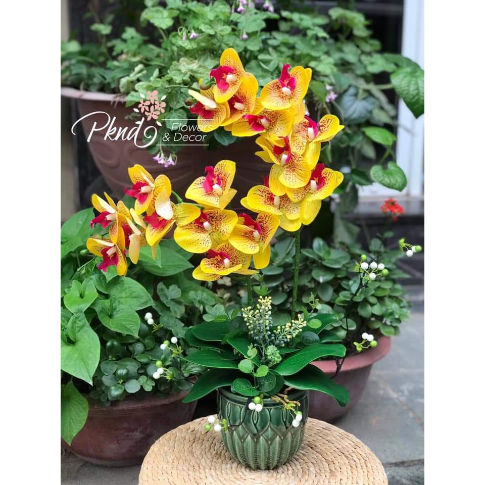 Chậu hoa lan hồ điệp giả trang trí phòng khách đẹp PKND FLOWERS & DECOR CH08