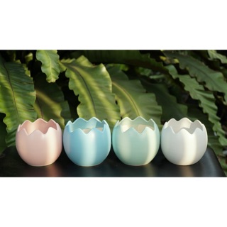Chậu trứng 11x11cm - Vườn sen đá