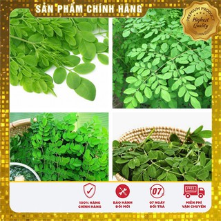 Hạt giống cây chùm ngây