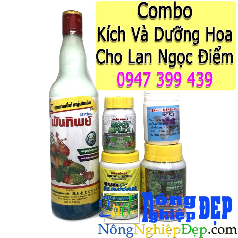 Combo Kích Ra Hoa Cho Ngọc Điểm Và Dưỡng Lan Ngọc Điểm ( Đai Trâu - Nghênh Xuân )