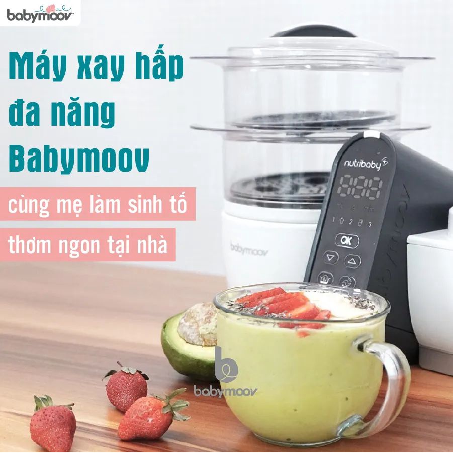 Máy Xay Hấp Đa Năng NUTRIBABY 5in1 Plus BABYMOOV Chính Hãng Nhập Khẩu Pháp