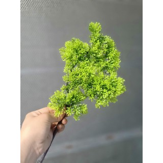 Cành Cây Tùng Nhựa Pvc Làm Cây Tùng Trang Trí