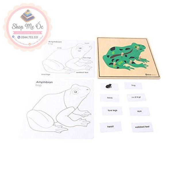 Giáo cụ montessori - Hộp thẻ học 3 phần động vật