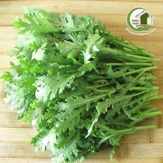 Hạt giống rau tần ô - rau cải cúc