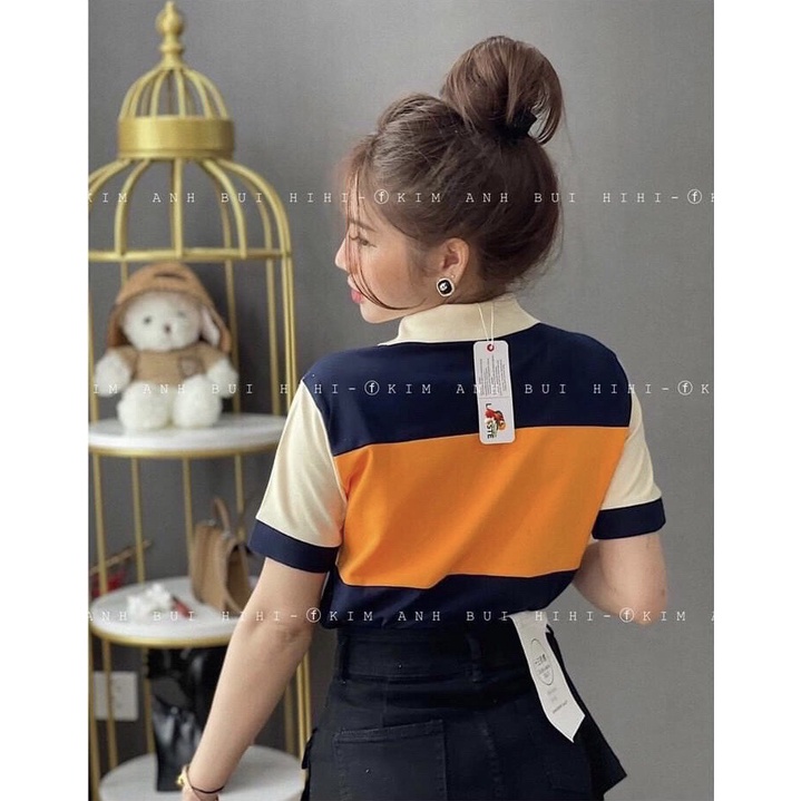 Áo phông nữ phối màu trẻ trung, áo thun nữ có cổ hợp đi chơi đi làm