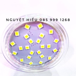 DEAL HOT - Đèn led chân ghim 220V 5W
