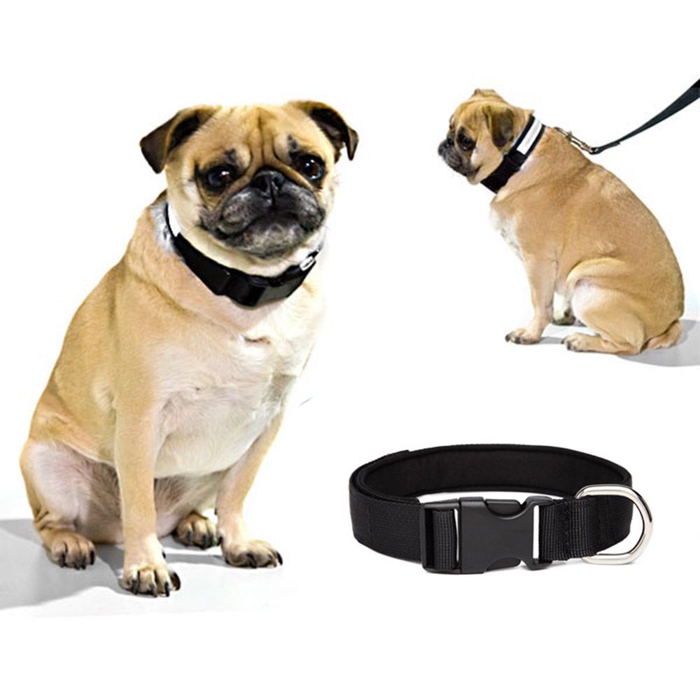 1 Vòng Đeo Cổ Màu Trơn Có Thể Điều Chỉnh Cho Thú Cưng Cỡ Vừa / Lớn / Lớn / Lớn / Nhiều Màu Sắc Tùy Chọn