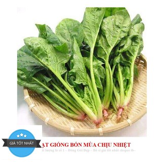 GÓI 100 HẠT GIỐNG CẢI BÓ XÔI 10g Hạt Giống Cải Bó Xôi - Chịu Nhiệt, Dễ Trồng (Spinacia oleracea) Rau Chân Vịt