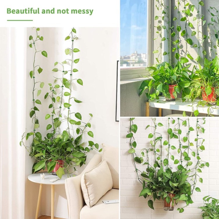 Set 10 Kẹp Cố Định Cây Thân Leo Vô Hình Tự Dính Tiện Dụng Cho Sân Vườn