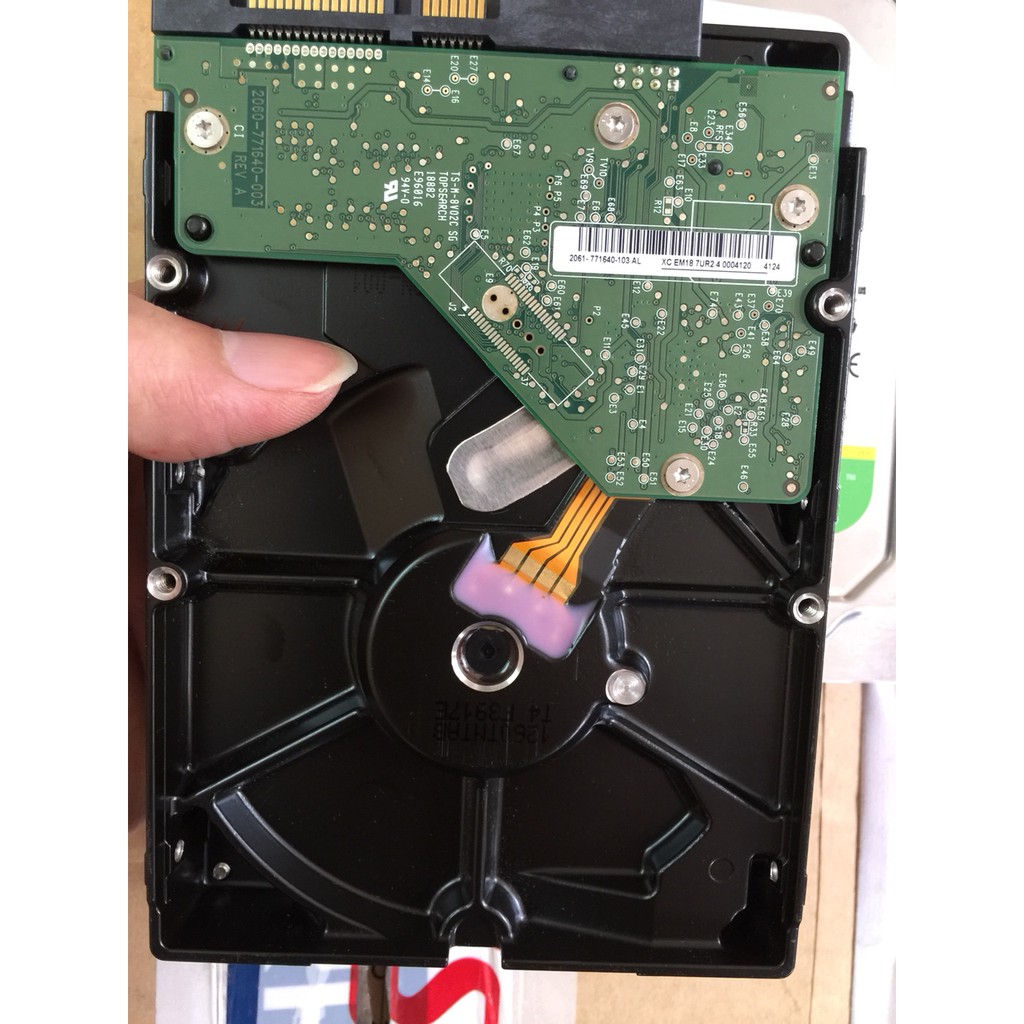 WD 250Gb Blue | BigBuy360 - bigbuy360.vn