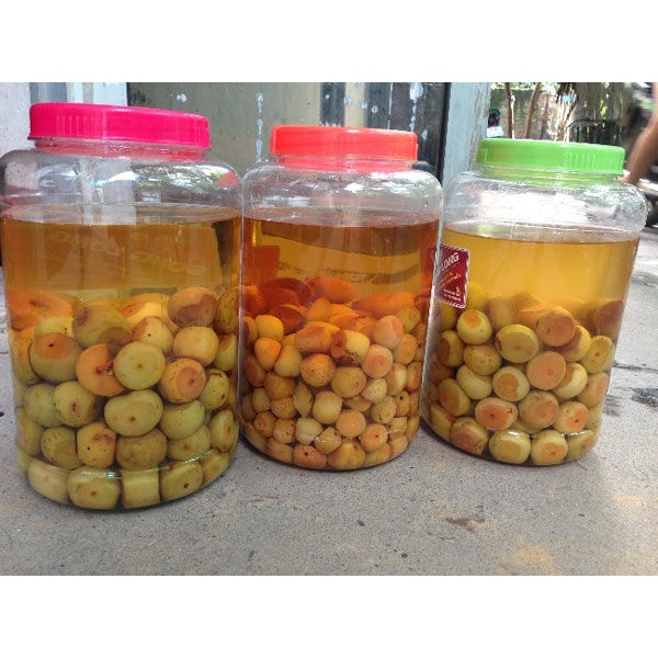 Hai lít giấm táo hữu cơ lên men tự nhiên bằng đường phên đỏ và quả táo mèo hoang dã đồi thông núi Mẫu Sơn nhà làm