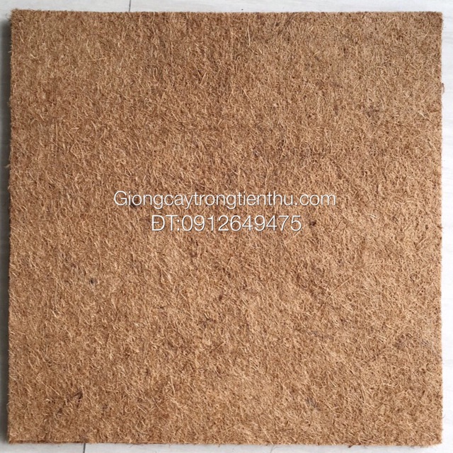 COMBO-5 MIẾNG THẢM XƠ DỪA 50x50cm