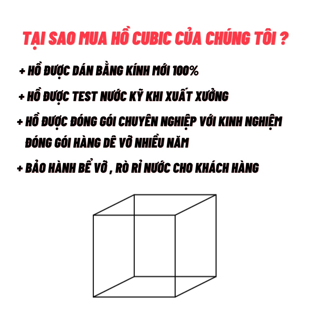 Bể cá mini cubic 15 - 20 - 25 cm dành cho nuôi cá cảnh hoặc thủy sinh