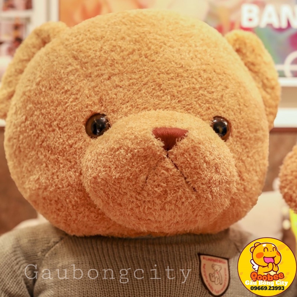 Gấu Bông Teddy Chỉ Áo Len - Teddy Bông Siêu To Nhập Khẩu Cao Cấp Gấu Bông City