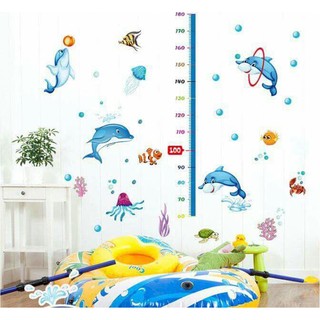 Decal thước đo cá heo