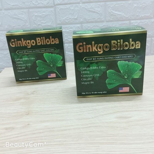 HOẠT HUYẾT DƯỠNG NÃO GINKGO BILOBA 240MG - GIÚP BỔ SUNG DƯỠNG CHẤT CHO NÃO - TĂNG CƯỜNG TUẦN HOÀN MÁU NÃO - HỘP 100 VIÊN