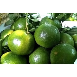 Quýt Đường Tiền Giang