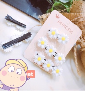 Set kẹp hoa cúc
