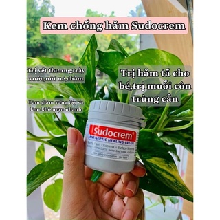 KEM HĂM SUDOCREAM (T6/2024)