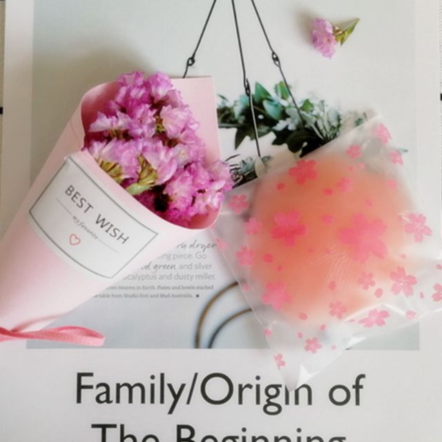 Cặp che nhũ hoa silicon dùng nhiều lần TuTu PK34