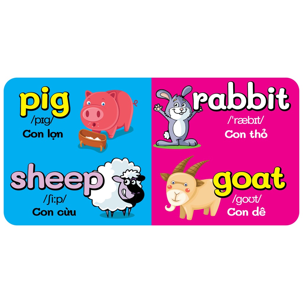 Sách - combo 2 Bộ 18 quyển Từ Điển Bằng Hình Đầu Tiên Của Bé Từ 0-6 tuổi - Anh- Việt
