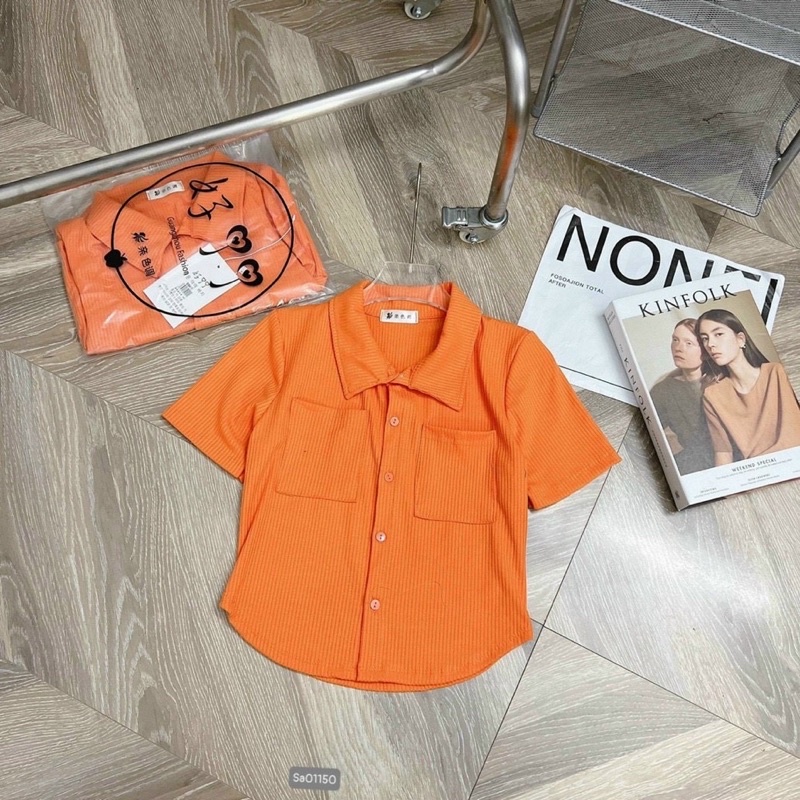 Áo thun cổ bẻ body thun gân len tăm  xinh xỉu , nhiều màu VKV alohashop91