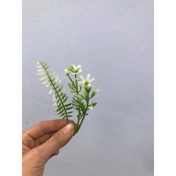 1 túi cỏ điểm