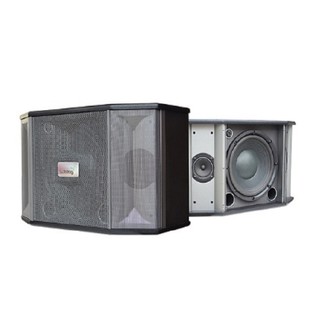 Loa Karaoke AUDIOFROG M10F