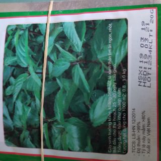 Hạt rau đay lá nhỏ 20g