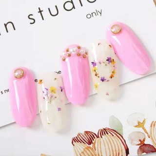 set hoa khô chùm trang trí móng xinh ( 12 màu / set)