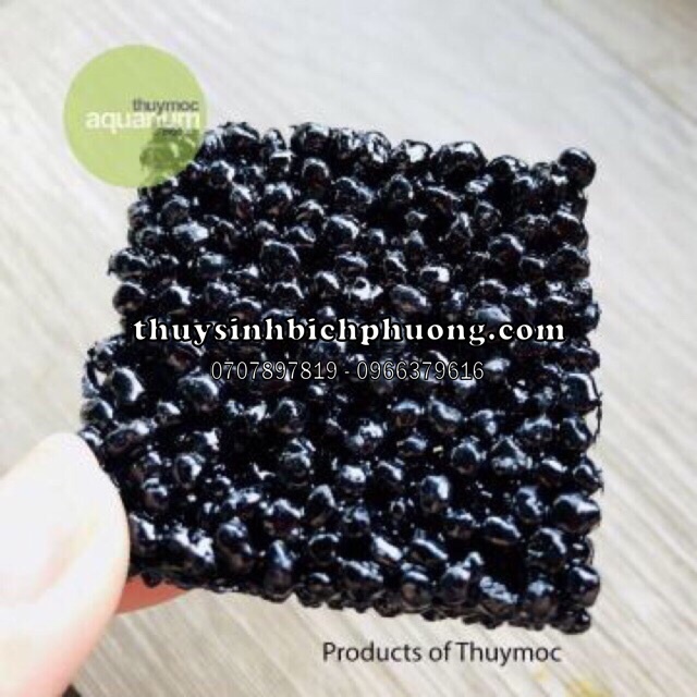GIÁ THỂ DINH DƯỠNG NUTRIPAD THUỶ MỘC CHO HỒ CÁ THỦY SINH