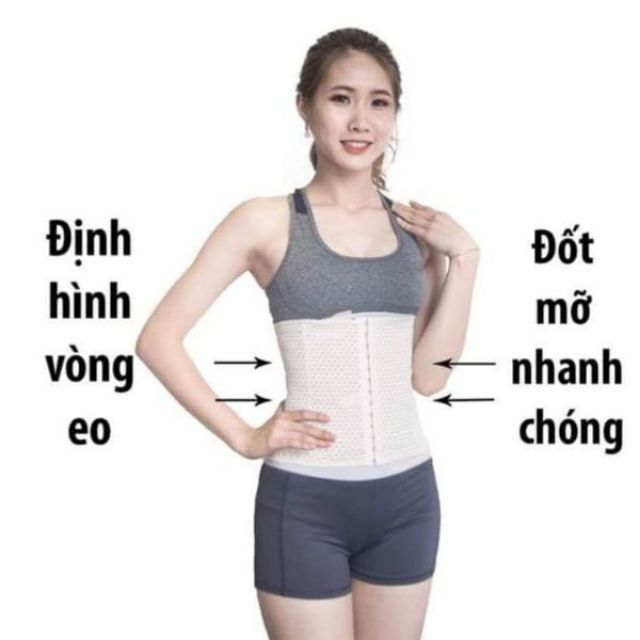 Nịch bụng định hình