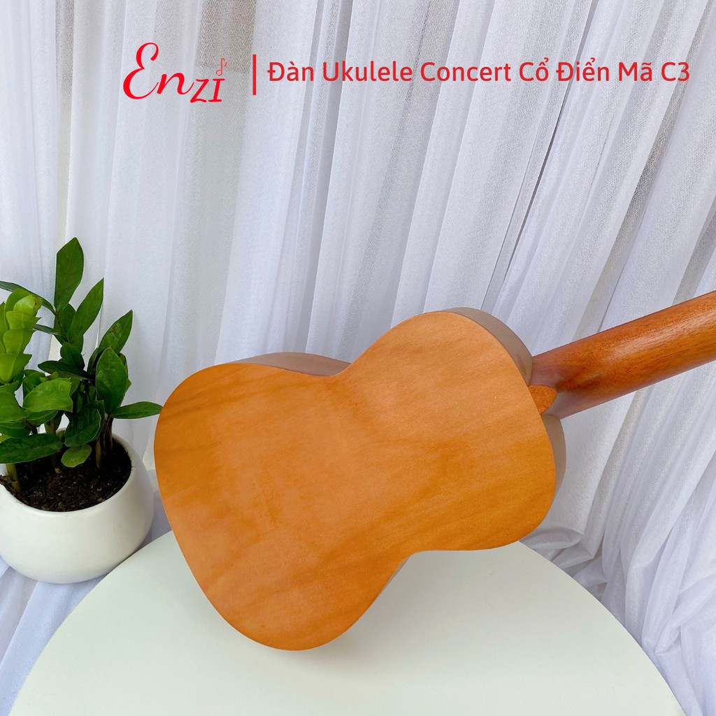 Đàn ukulele concert size 23  mã C3 Enzi kiểu dáng cổ điển khóa xịn, chất lượng âm thanh tuyệt hảo