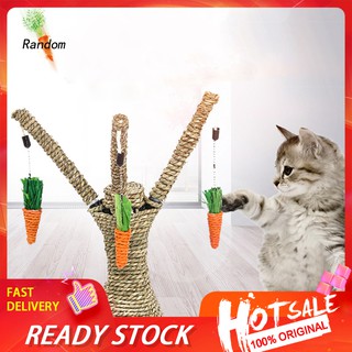 Đồ Chơi Cào Móng Hình Cây Cà Rốt Cho Mèo