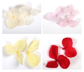 Hoa khô nhiều màu sắc đắp ẩn trang trí móng nail-ĐỒ NAIL VIỆT