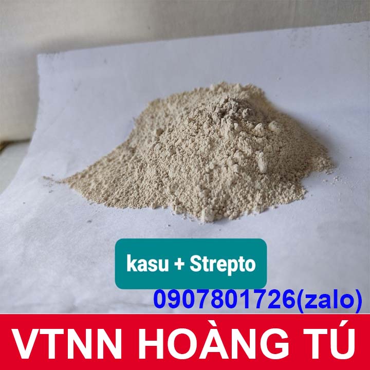 KASUMIN ẤN ĐÔ - thuốc diệt nấm, vi khuẩn cây trồng - gói 100g