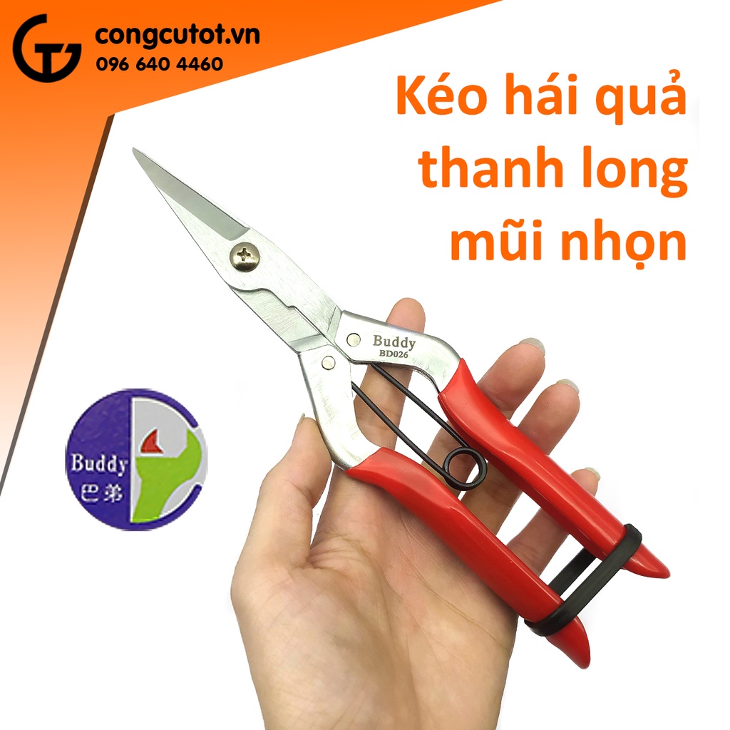 Kéo hái quả Thanh Long mũi nhọn Buddy D026 Đài Loan