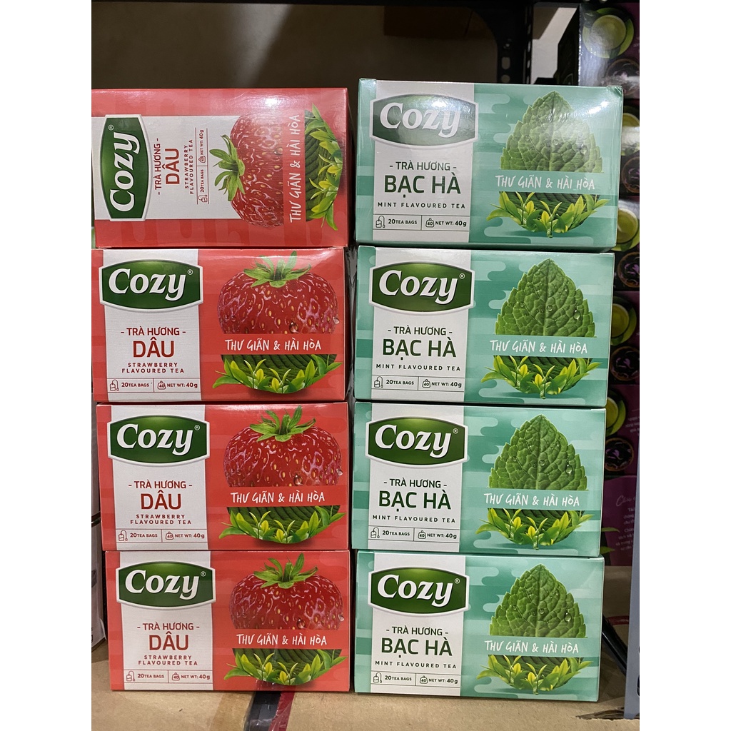 TRÀ COZY TÚI LỌC HƯƠNG DÂU - ĐÀO - BẠC HÀ  - SEN - NHÀI