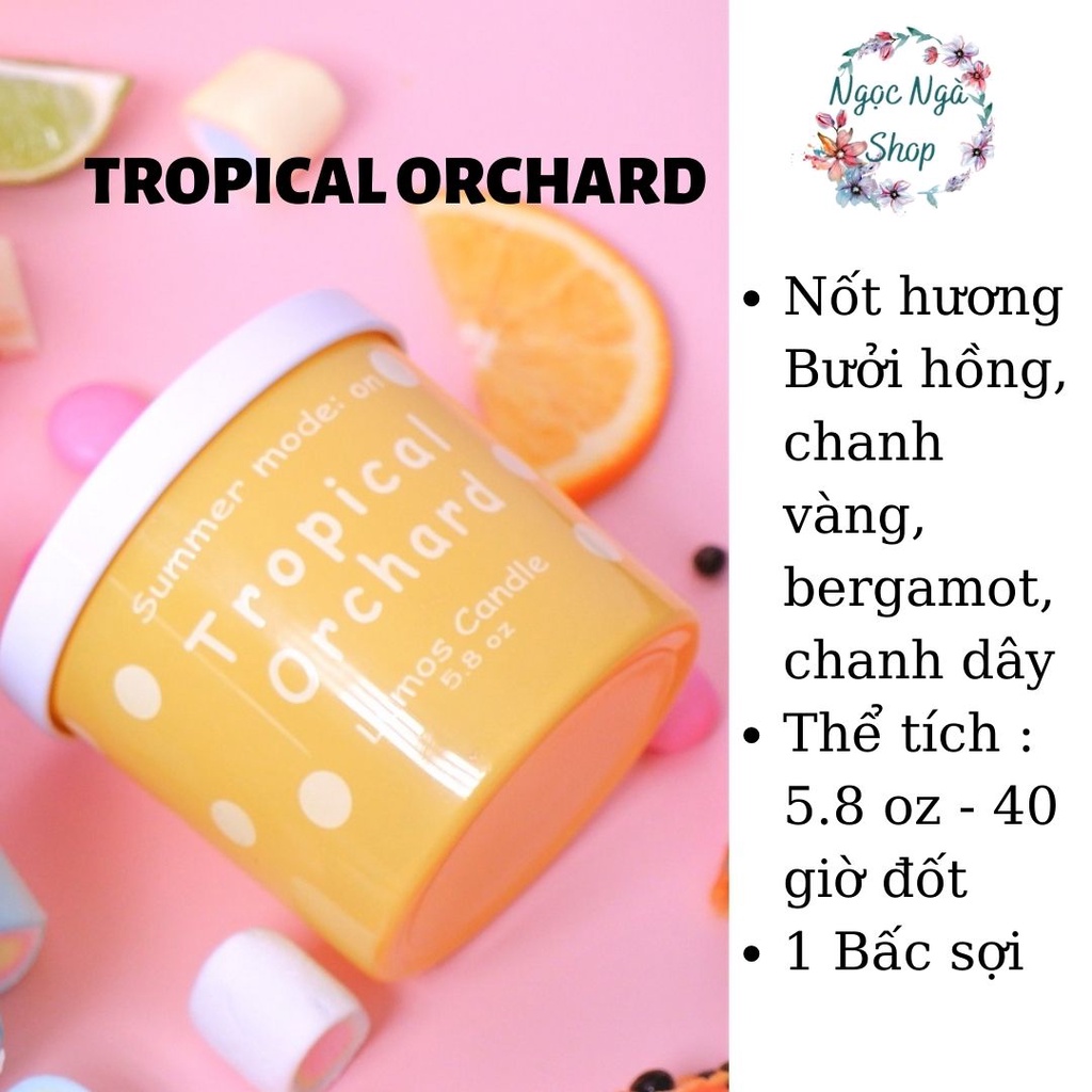 Nến Thơm Cao Cấp Lumos  Bộ 3 Sắc Màu cho Mùa Hè thêm sôi động–NT35.1 - Nến trang trí / thư giãn - Đạt tiêu chuẩn Quốc Tế
