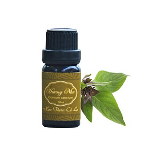 Tinh Dầu Hương Nhu Nguyên chất - Ocimum Sanctum Essential Oil