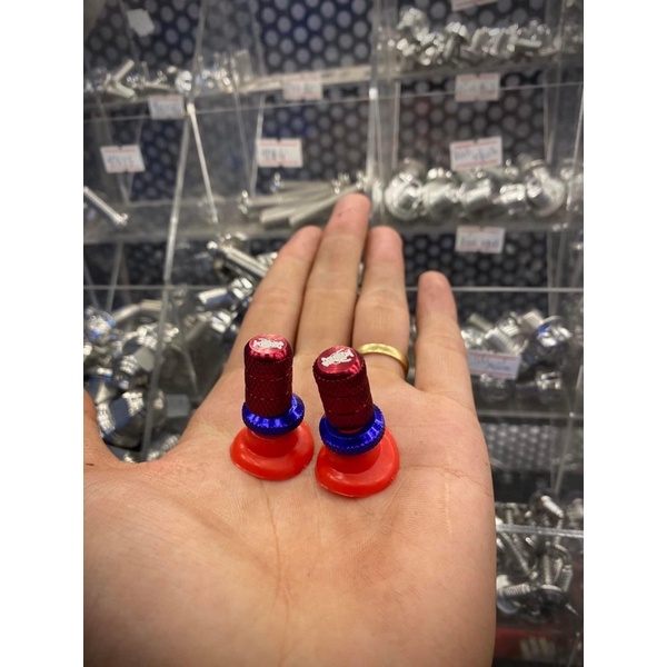 VAN LỐP XE/ VAN VÒI CHẤT LIỆU NHÔM MÀU PHỐI NGẪU NHIÊN