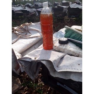 mật cà phê chai 1l
