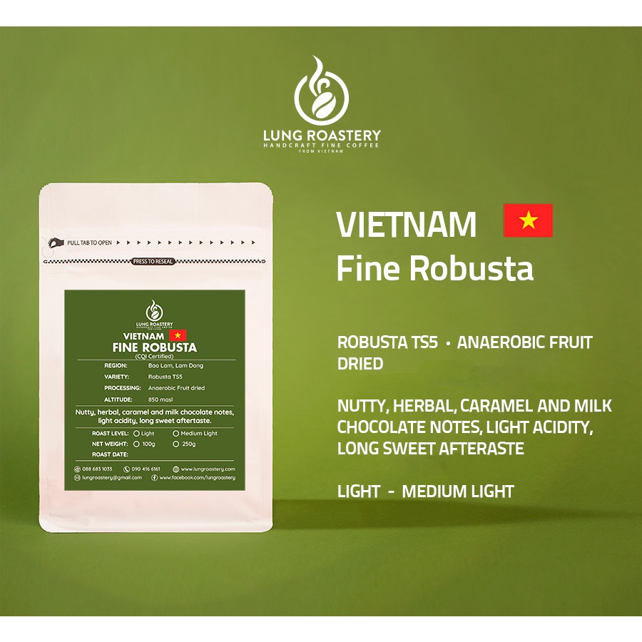 CÀ PHÊ HẠT VIETNAM FINE ROBUSTA - CQI CERTIFIED